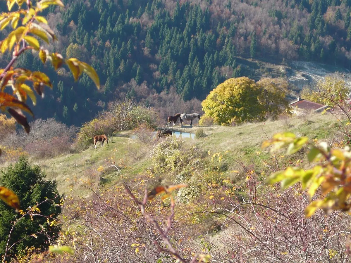 Hotel Belvedere Roana