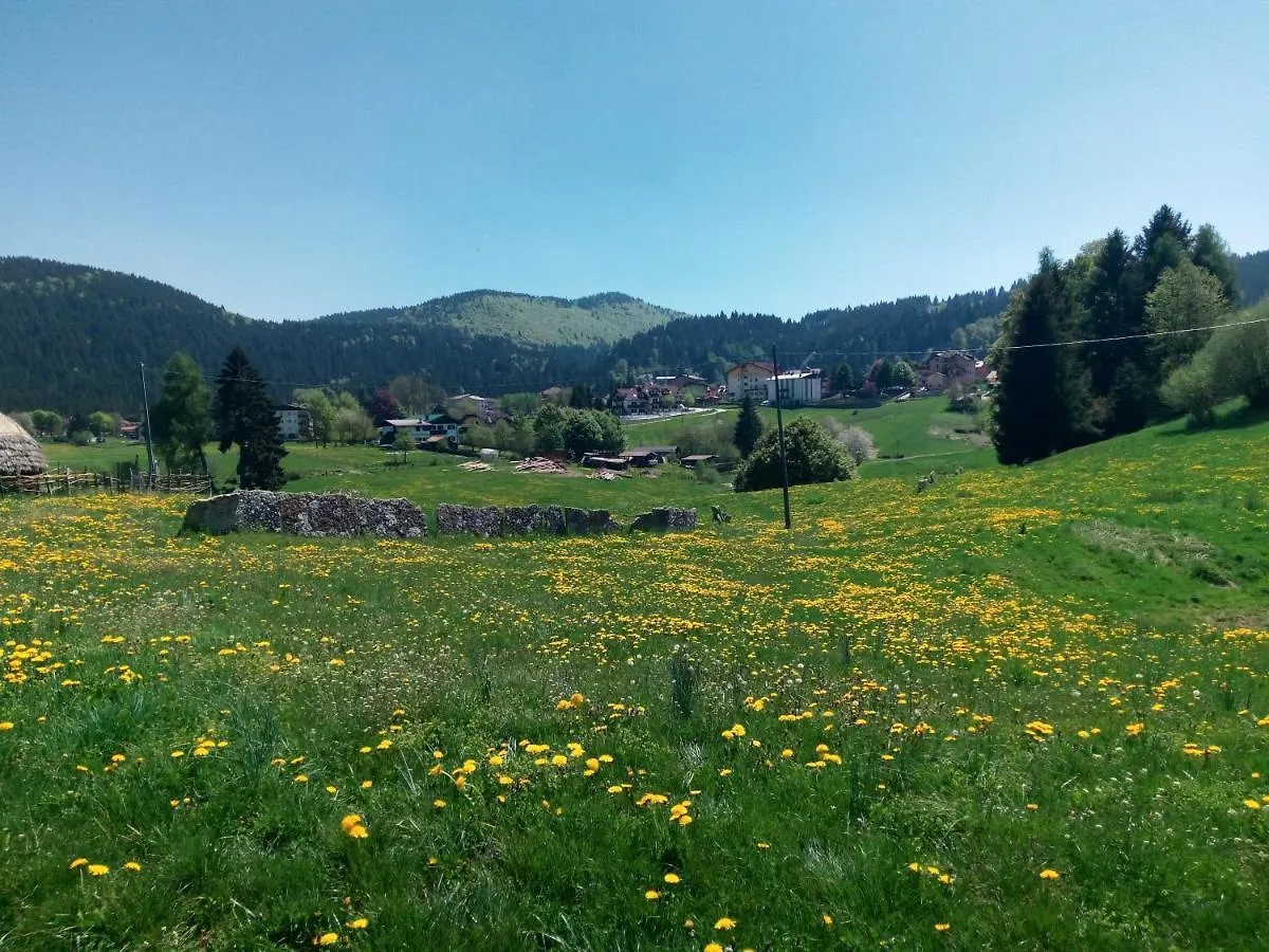 Hotel Belvedere Roana 3*,