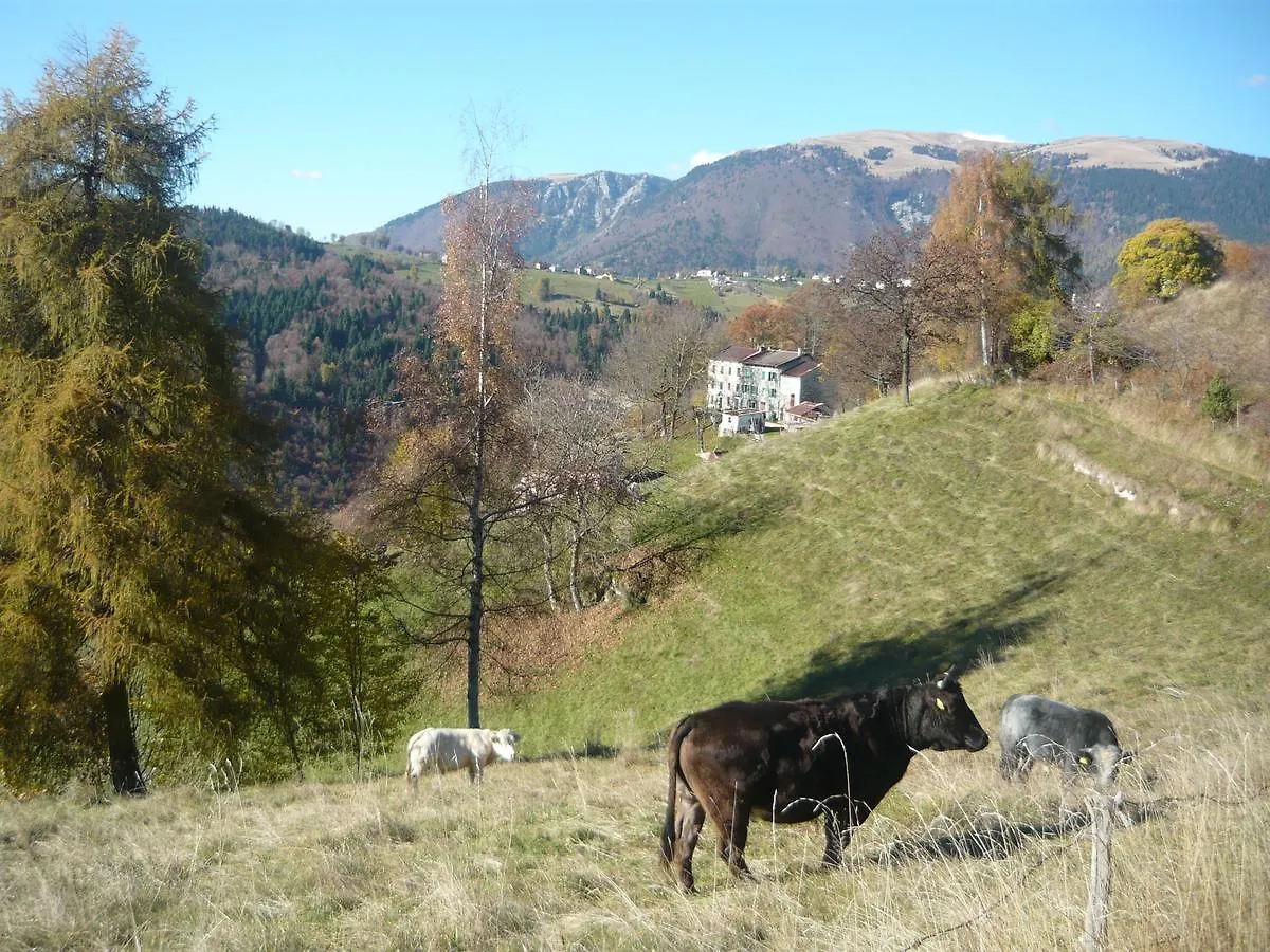 Hotel Belvedere Roana